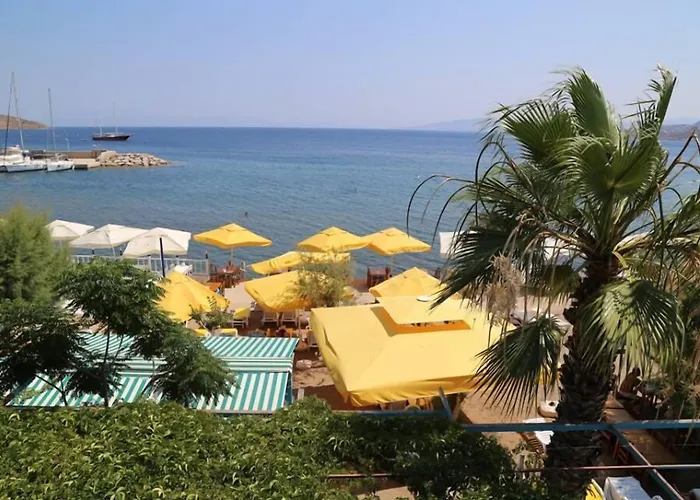 Hotel Manolya 4*