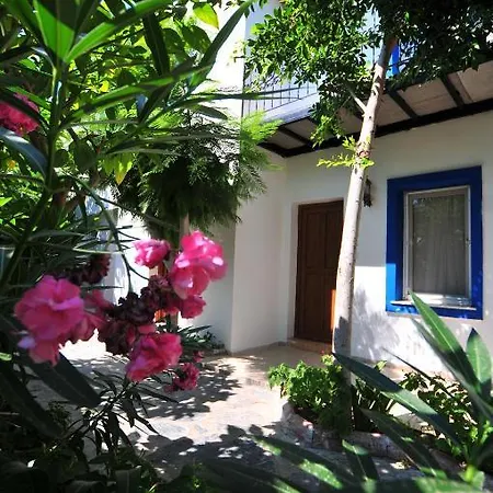 Hotel Manolya Ortakent