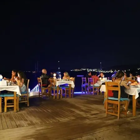 Manolya 오르타켄트